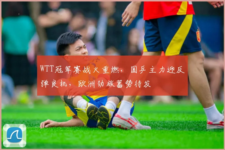 WTT冠军赛战火重燃，国乒主力迎反弹良机，欧洲劲旅蓄势待发