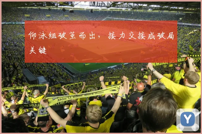仰泳组破茧而出,接力交接成破局关键